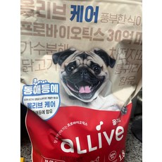 올리브 케어 강아지사료 2kg + 콰삭콰삭 치킨&오트(펌킨&코코넛)120g, 케어 1.8+콰삭콰삭 펌킨&코코넛