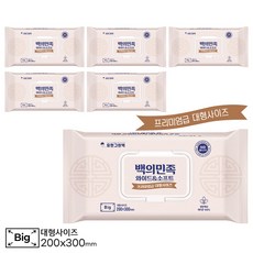 유한그린텍 백의민족 60매 캡형 6팩 요양병원 간병인 피부 저자극 두툼한 대형 프리미엄 물티슈 크고 부드러운 생분해성 레이온 100%, 6개
