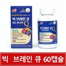 빅 브레인 큐 60캡슐 포스파티딜셀린 은행잎 비타민E 홍삼 아세로라, 60정, 1개