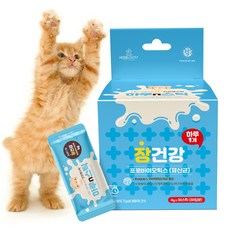 닥터페미니스트