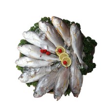 3대윤씨생선 반건조 반찬생선 침조기 10미 반찬고기 선물세트