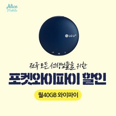 에그 대여 월 40GB 무제한 무약정 휴대용 포켓 와이파이 특별교육할인, 라이트 포켓와이파이 40기가