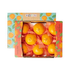 고당도 블랙라벨 천혜향 선물세트 벌크포장, 중대과 1.6kg 6-9과 선물포장, 1box