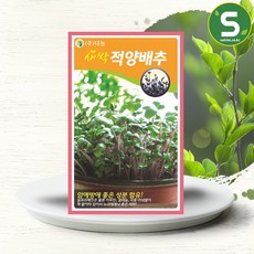 솔림텃밭몰 새싹적양배추씨앗 30g 새싹적양배추 새싹채소씨앗, 1개