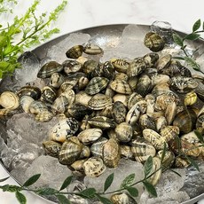 통영 왕 바지락 활 조개 당일조업 산지직송 1kg 2kg, 통영 바지락 1kg(100미내외), 1개