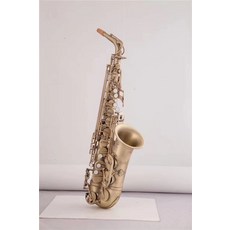 셀마레퍼런스54