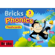 스마트파닉스플래시카드