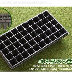 받침쟁반 굴 아케이스 다육 상자 대야 영양 사발, 50 굴 깊은 150g /5피스 가격
