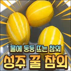 성주참외 5kg 실속 꼬마 20-30 둥둥참외 보화농장 못난이참외 제철과일 내고향농수산참외 aqkf, 5kg못난이혼합과