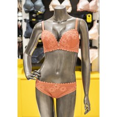 원더브라노와이어세트