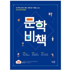 고등 문학 비책(2021), 국어영역