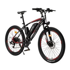 서울전기자전거대여