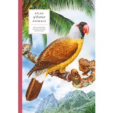 Atlas of Extinct Animals Hardcover, Albatros Media, English, 9788000061269