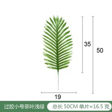 싱고니움핑크쥬얼리