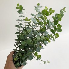 96c979b3cc3b9b9fe8840ac492515e5e203209749ca692aad50df929459e.jpg