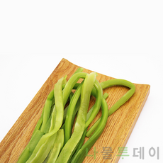 나물투데이