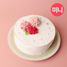 가정의달 어버이날 감사 카네이션 미니 케이크 만들기 DIY 세트, 단품