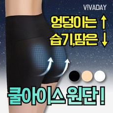 크레비스 VIVA-E17 쿨속바지 - 보정효과 슬립속치마