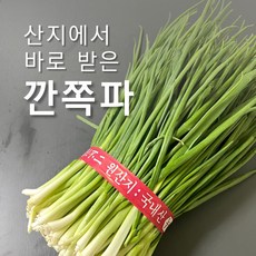 추천5쪽파요리