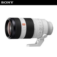 소니100-400