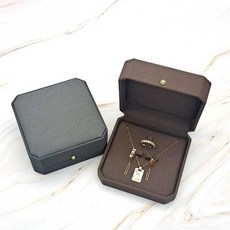 반지스웨이드케이스