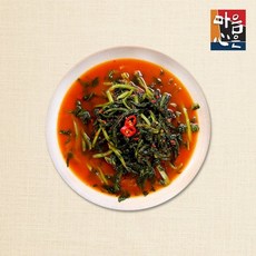 마음심은김치