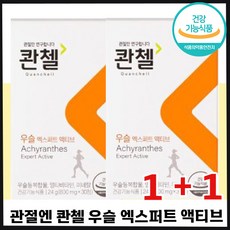 [ 1+1 ] 관절엔 콴첼 우슬 엑스퍼트 액티브 식약처 인정 관절 연골 건강 도움 건강기능식품 비타민 D K 아연 우슬 영양제 허리 손목 무릎 뼈 콴챌 칸첼 우술 중년 추천 좋은, 1+1(2박스), 30정