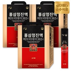[KT알파쇼핑]순수식품 6년근 홍삼정 진액 에브리데이 365 실속형 3박스(300포) 홍삼스틱, 1kg, 3박스