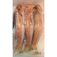 반건조 통옥돔 3마리 1팩 (550g이상700g이하) 2팩 3팩 4팩 진공포장 참옥돔, 3팩 9마리, 3개