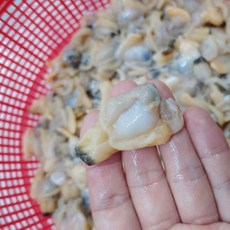 국내산 깐 순살 바지락 1kg