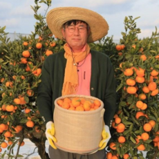 귤낭밭 제주 산지배송 타이벡감귤 로얄과(선물용) 3kg 5kg 7.5kg