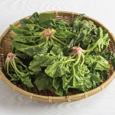 남해 보물초 시금치 향긋 단맛 일품 1kg 2kg 3kg 4kg, 2) 보물초 시금치 2kg, 1개