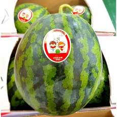 못난이수박8kg
