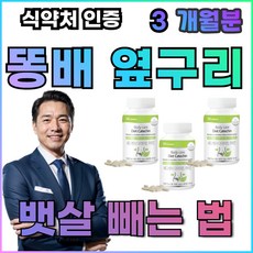 술배