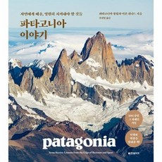 파타고니아우주복