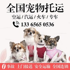 d6fdc15de6cdc300a9ad0d5b89e73e66a830854cc81347d41ae4885133ae.jpg