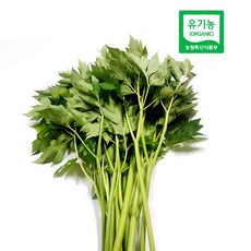 산지직송 친환경 농장 명일엽 녹즙용 유기농 신선초 1kg, 1개