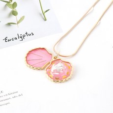 리얼진주조개체험키트