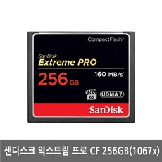 샌디스크cf256gb