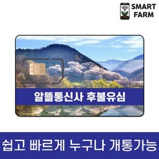 알뜰요금제