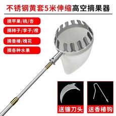 청도복숭아따기체험