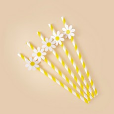 생일 파티 장식 깃발 당김 꽃 접시 빨대 풍선 케이크 토퍼 소녀, 10pcs straw D