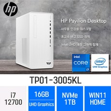 HP 파빌리온 TP01-3005kl, 1TB, 16GB, WIN11 Home