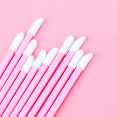 샤넬립브러쉬
