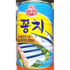 꽁치캔(오뚜기 400g) X24, 400g, 24개