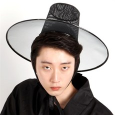 아트박스/파티해 저승사자 갓 (양반갓) 모자, 본품