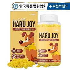 펫생각 꿀 바나나 강아지 간식 1000알 저칼로리 소형견 중형견 - 펫생각