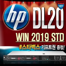 DL20 G10 (E-2224 16GB 1TB WIN2019 STD) 서버 HP, 기본형, P17079-B21