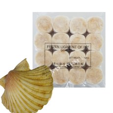 가리비개아지살