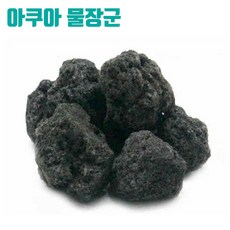 아쿠아물장군 미니화산석 5개